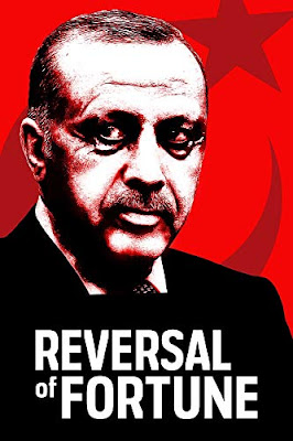 Reversal Of Fortune Turkeys Unraveling Democracy Dvd