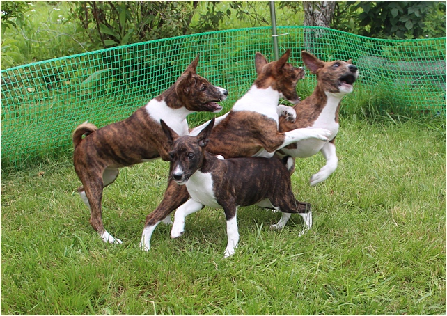 Фото 12 Недель Девочка