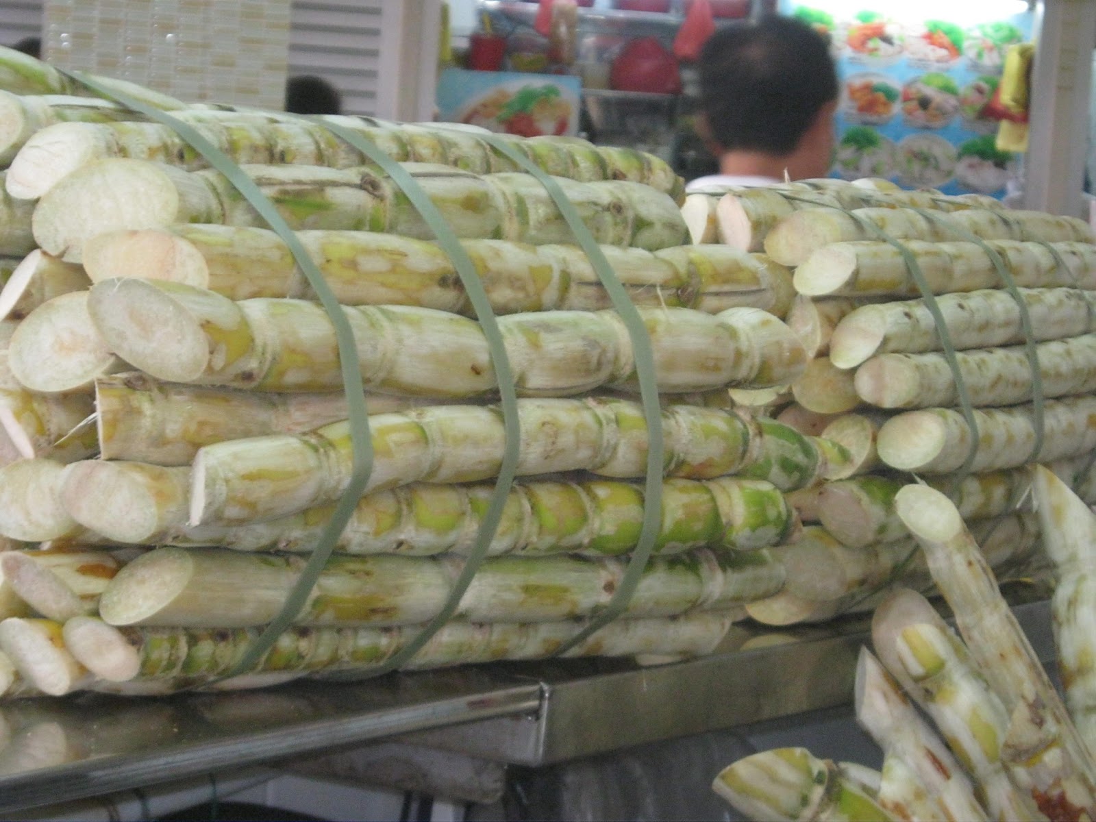 my thoughts, stories and articles Save our world Sugar cane