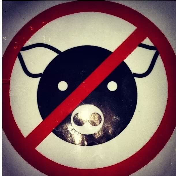 FLOWERSBLOOMS by "Elvie" Million People March to