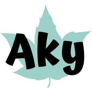 logo aky