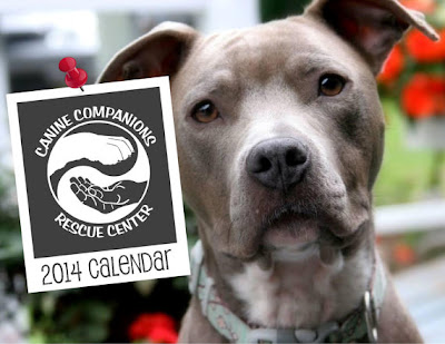 2014 Canine Companions Rescue Center calendar