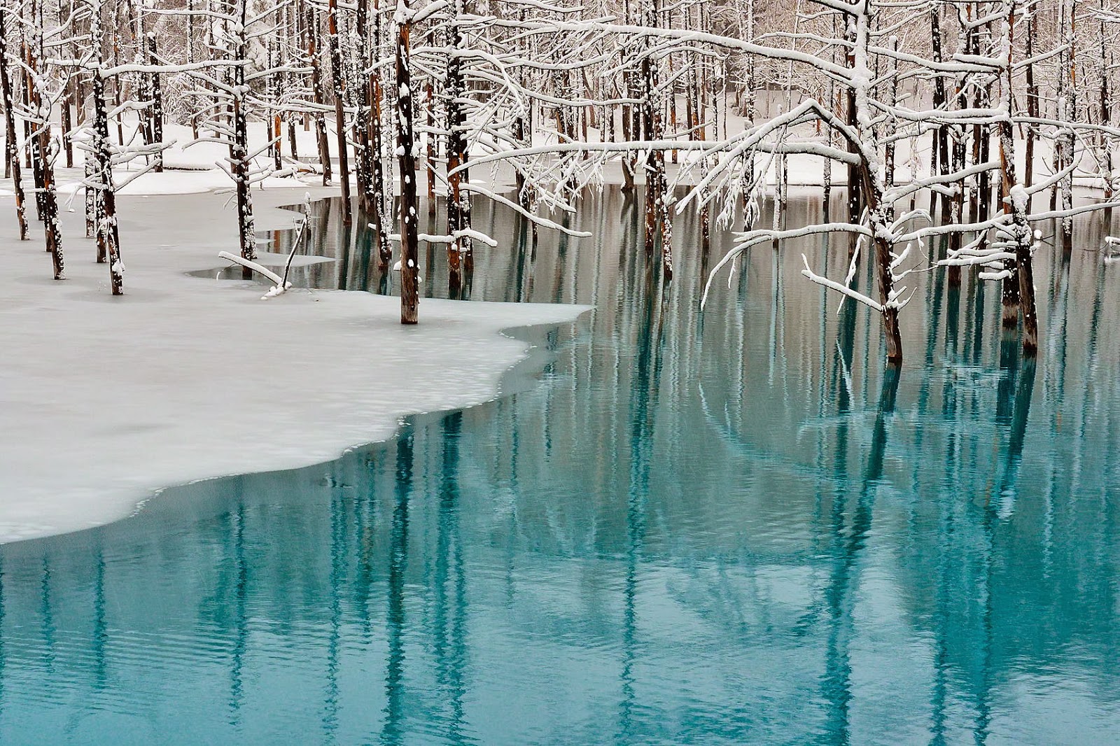 Banco de Imágenes: 25 fotografías del invierno con fascinantes paisajes