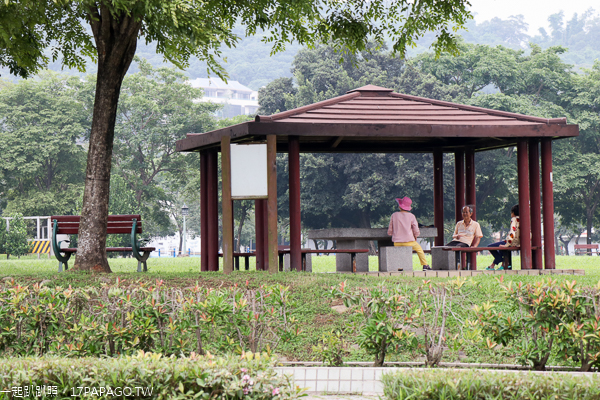 台中北屯|廍子公園|黃花風鈴木|滑板場|巨人腳印公園|綠籬迷宮|生態池|拱橋 台中北屯|廍子公園|黃花風鈴木|滑板場|巨人腳印公園|綠籬迷宮|生態池|拱橋