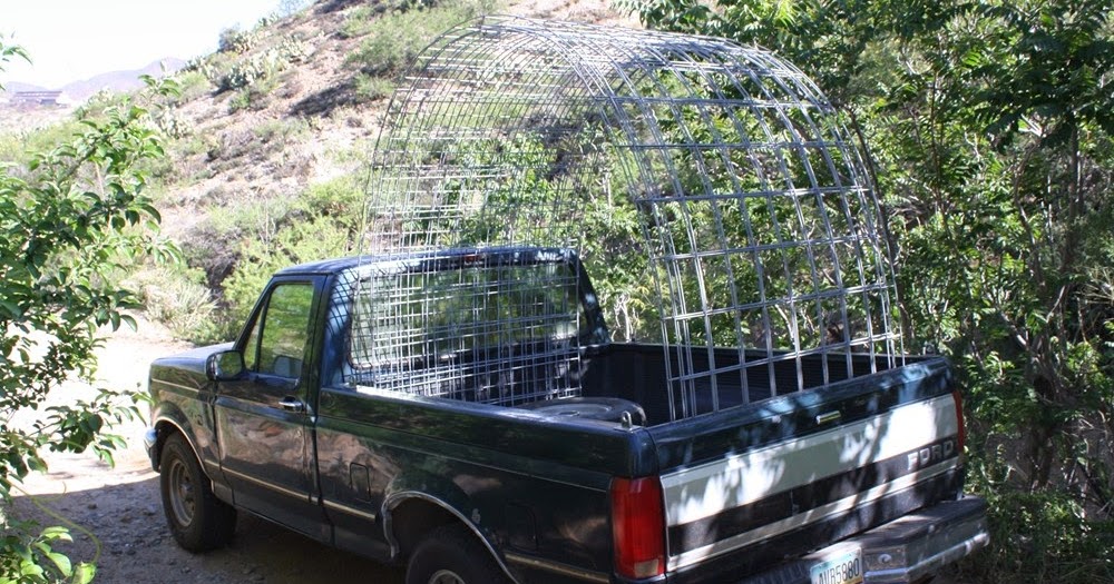 The Edible Garden: BUILDING A HOOP COOP FROM CATTLE PANELS