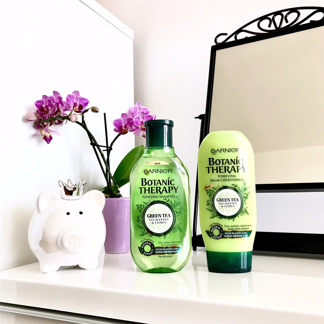zdjęcie szamponu i odżywki Garnier Botanic Therapy Green Tea