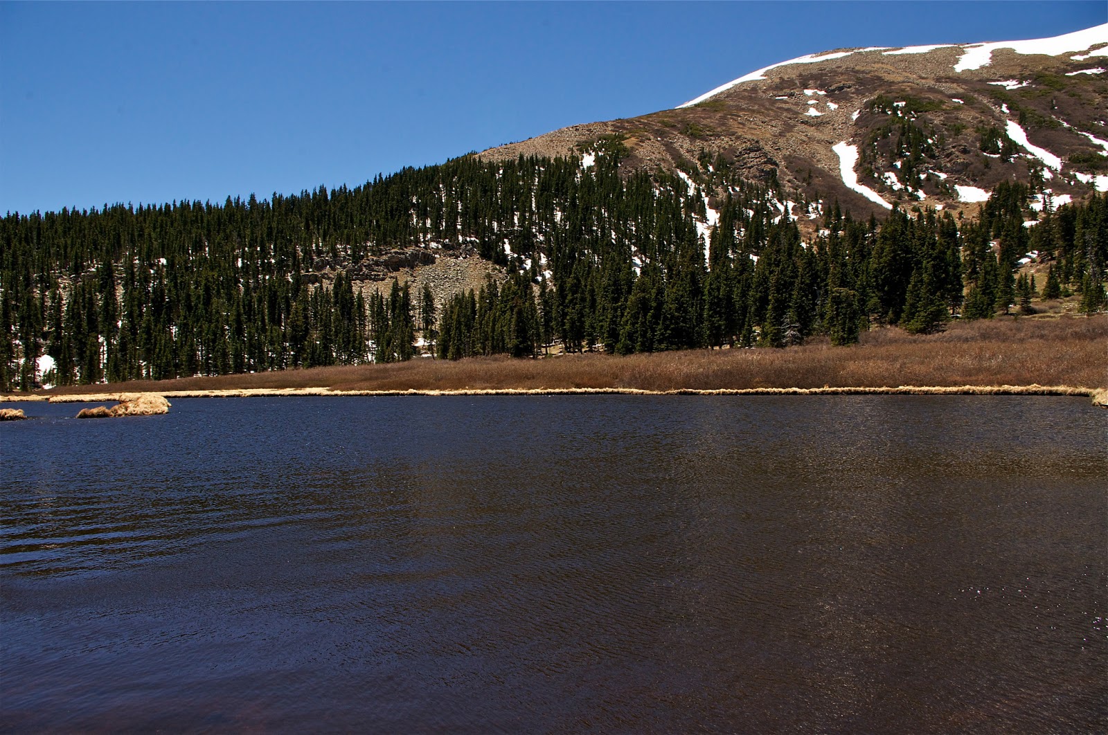 Southern New Mexico Explorer Serpent Lake Pecos Wilderness Carson National Forest