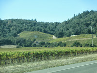 Napa Valley wine country