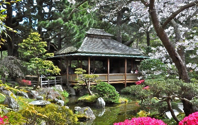 Japanese Tea Gardens with Water Pool