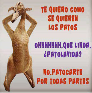 Piropos atrevidos para enamorar Piropos divertidos para Hombres