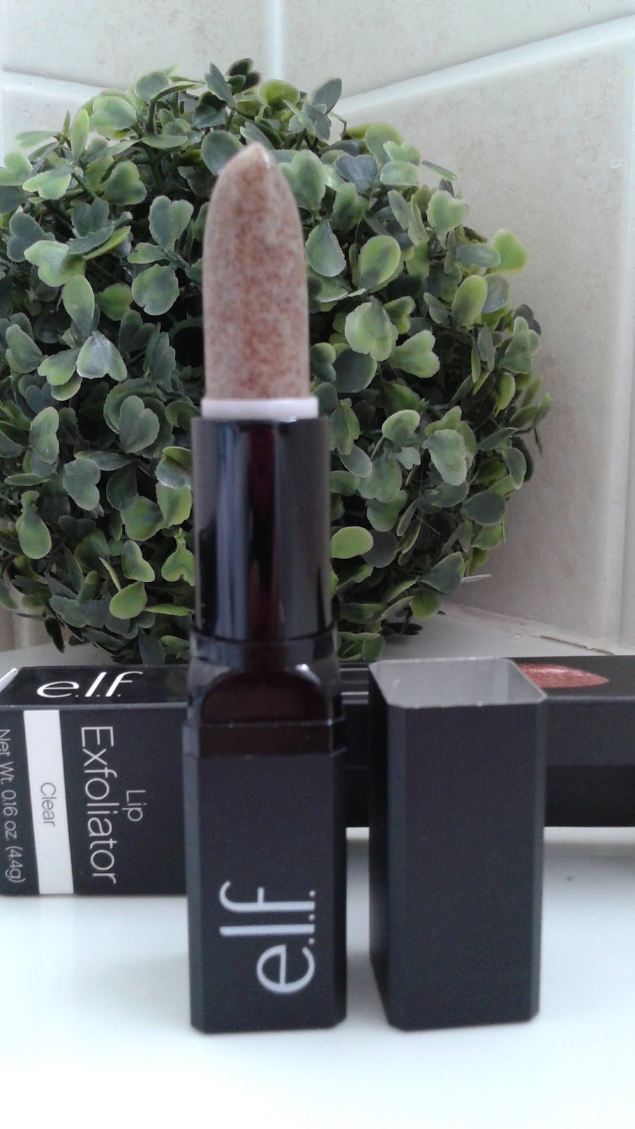Health and Beauty Girl Elf Clear Lip Exfoliator Review Hot or Not!?