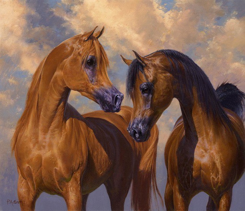 cuadros de caballos al oleo cuadros modernos pinturas y dibujos quot caballos arabes cuadros de caballos al oleo cuadros modernos pinturas y dibujos quot caballos arabes