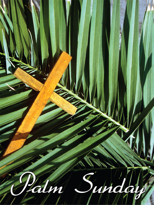 Meditative Meanderings: Hosanna in the Highest! It's Palm Sunday!!