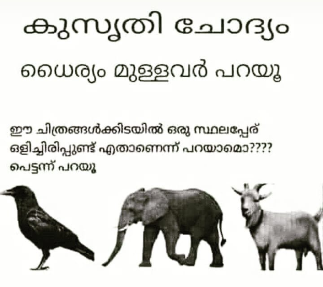 Kusruthi Chodyam Dhairyamullavar Parayu With Answer Best Puzzles With Answers * read jokes, proverbs, kadam kathakal, kusruthi chodyangal & tongue twisters in mlayalam * 600+ malayalam jokes * 100+ kadam kathakal * 170+ malayalam proverbs * 80+ kusruthi chodyangal * 40+ malayalam status app contains following types of latest status in malayalam. kusruthi chodyam dhairyamullavar