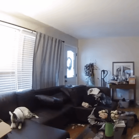 d4198a8919098047d40173ab1cf621a86030f968.gif