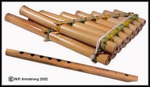 MUSIC BADGE: DIFFERENT MUSICAL INSTRUMENTS IN INDIA