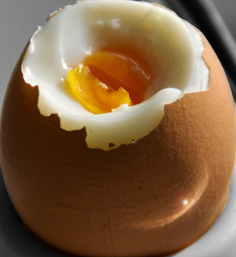 Culinary Physics Steam Cooking Times How Long to Steam Vegetables, Fish, Chicken, Lobster and