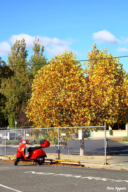Octie Appetie Ross and Cadbury Chocolate Factory, Hobart (Tasmania