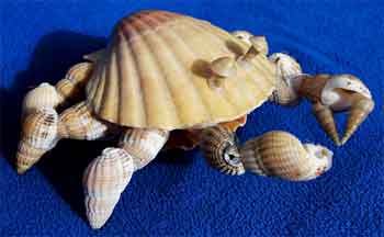 Kerajinan Menggunakan Kerang Penggunaan Kerang