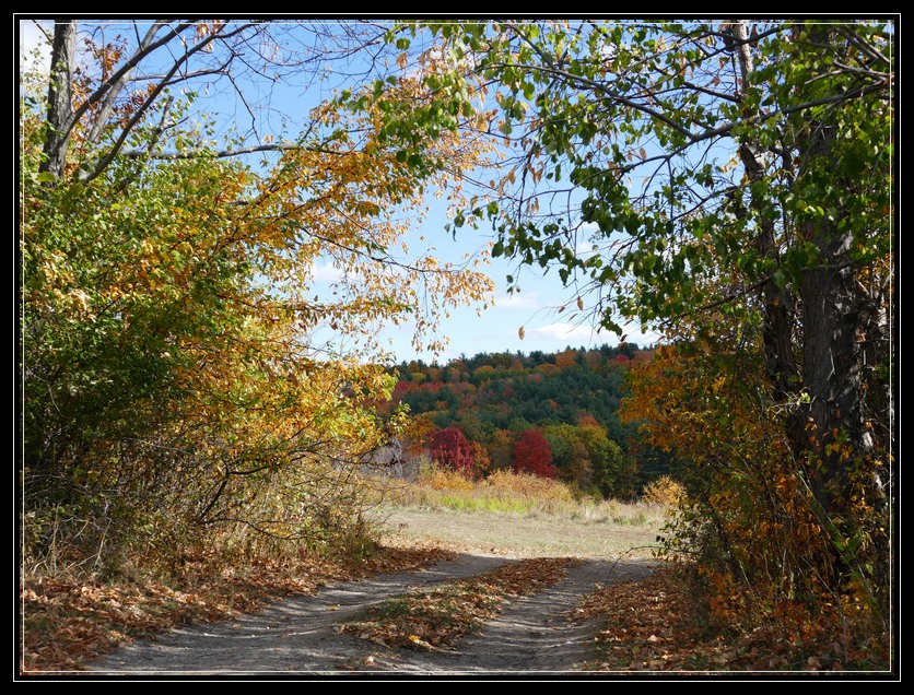 Little Brook Farm Where It's All About Second Chances Life As I See It