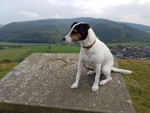 Pirn hill fort Pirn hill fort