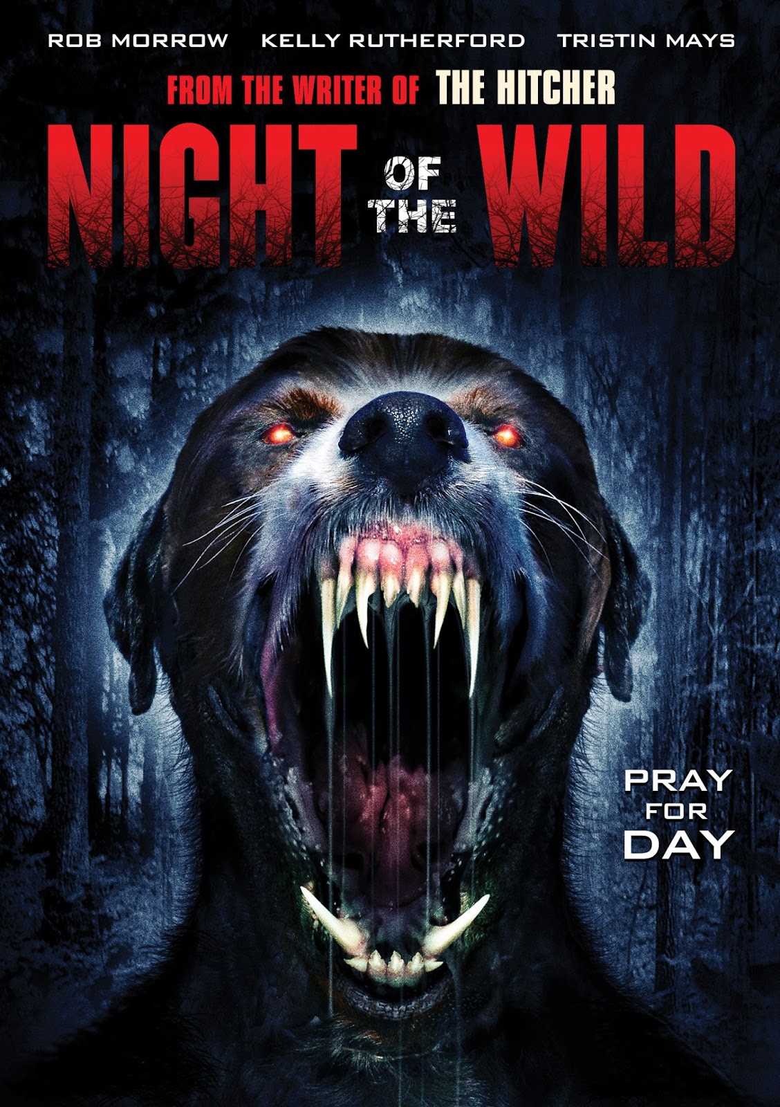 Night of the Wild 2015 - Full (HD)