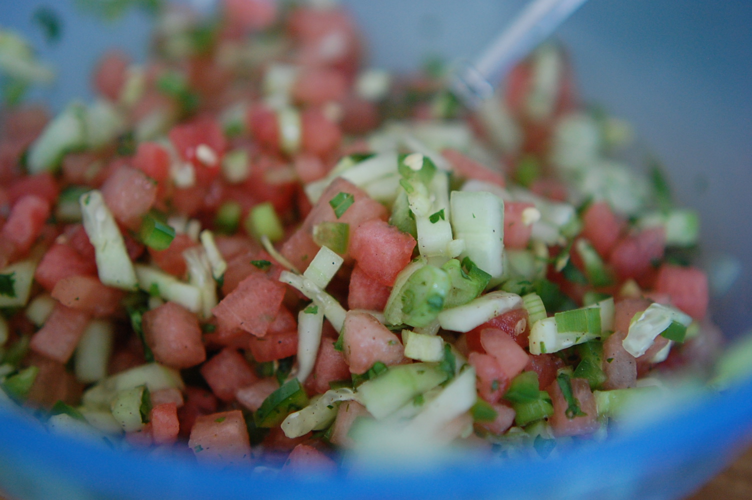 Food, Fun & Life Cucumber Melon Salsa