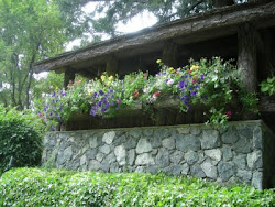 Butchart Gardens - Victoria, B.C.