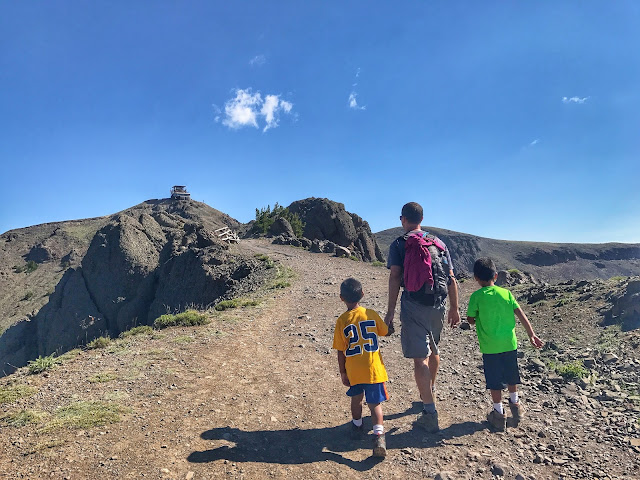 Mt. Washburn fire lookout hike