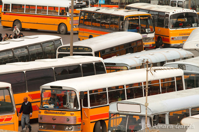 buses malteses