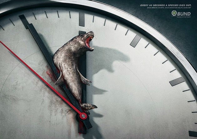 Every 60 Seconds a Species Dies Out