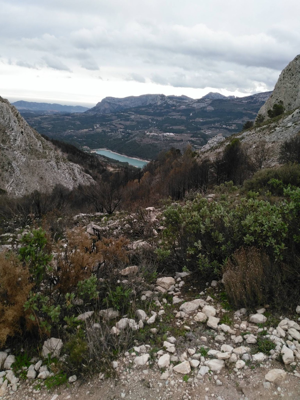 11Science Castell de Castells