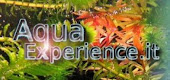 il mio sito (con forum) sull' acquariofilia