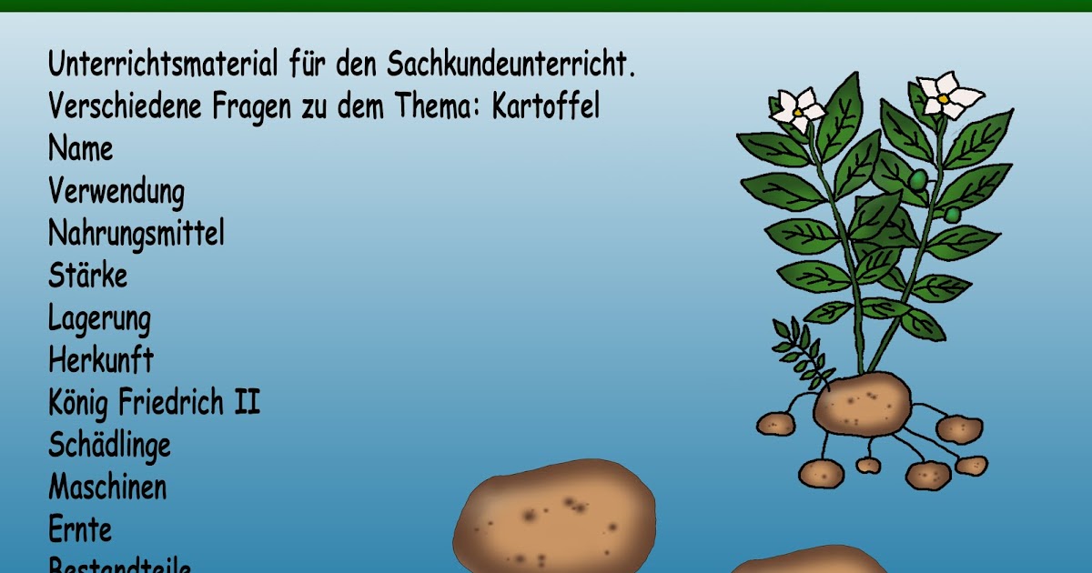 Neues von Legakulie: Sachkunde Grundschule Kartoffel Test Klassenarbeit