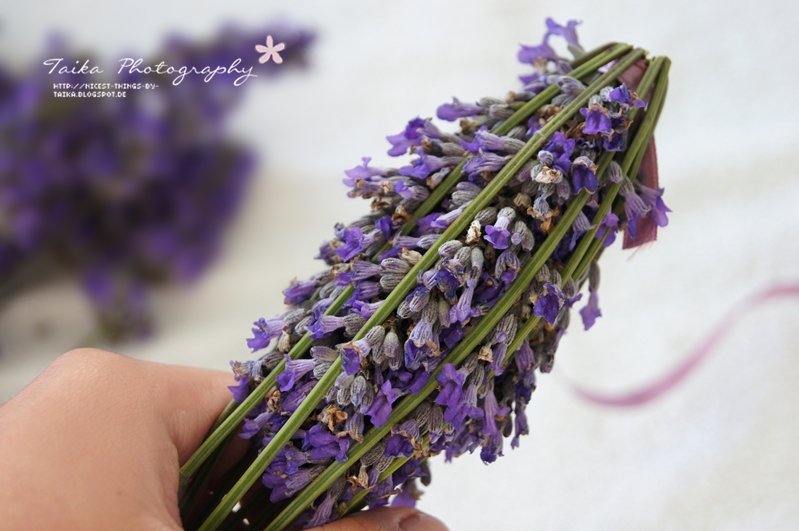 Lavendel flechten Lavendelstab flechten Lavendelstäbe mit Band Anleitung #lavendel #lavendelflechten #lavendelstab #lavendelkeulen #diy #raumduft