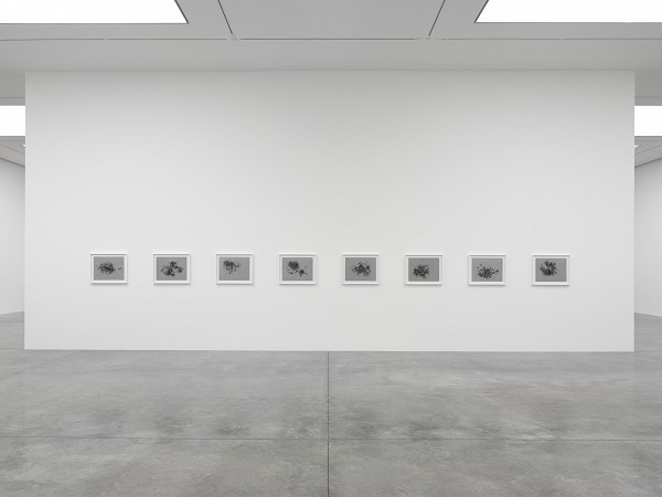 Christine Ay Tjoe - "Black, Kcalb, Black, Kcalb" - White Cube Bermondsey installation 2018 - abstract paintings