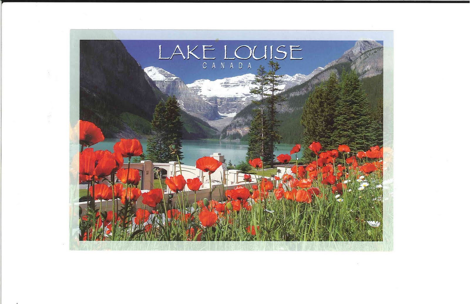 Send a Postcard a Week Lake Louise Banff National Park