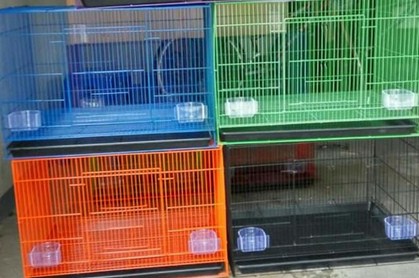 Kisaran Harga Terbaru Kandang Besi Ternak Lovebird Saat Ini