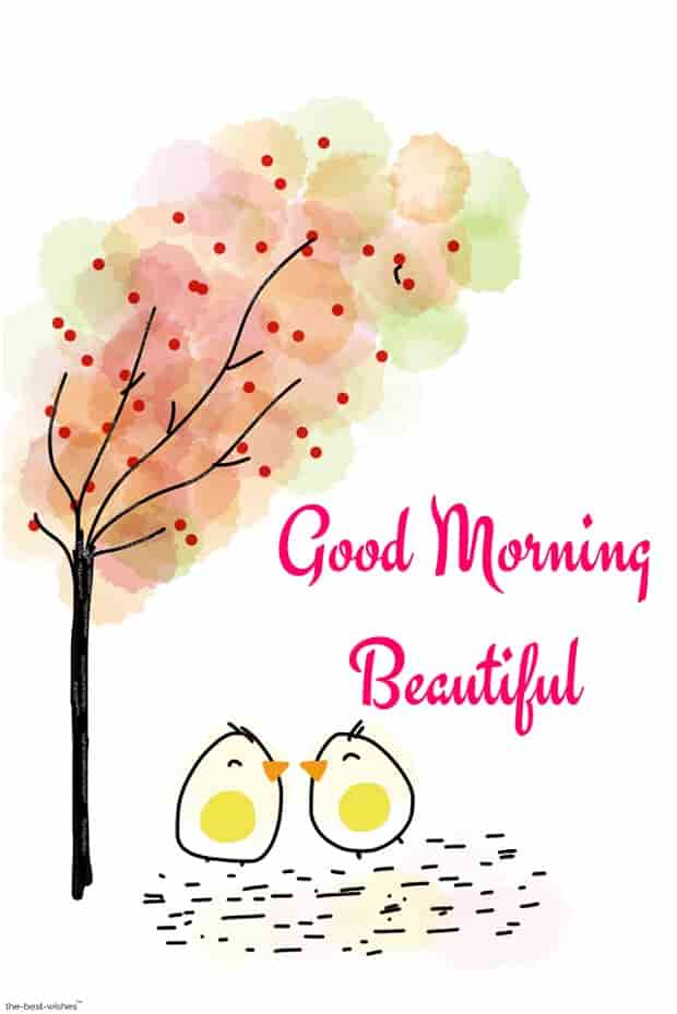good-morning-beautiful-pictures good morning beautiful pictures