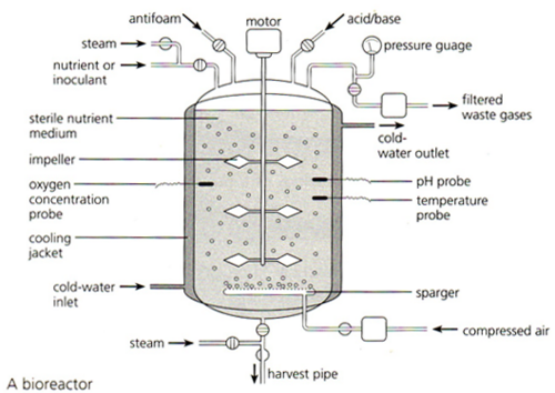 Frazer + Biology: 5.8 Fermenter