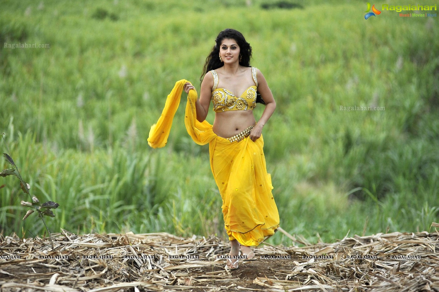 taapsee_modern_low_rise_saree_posters34.