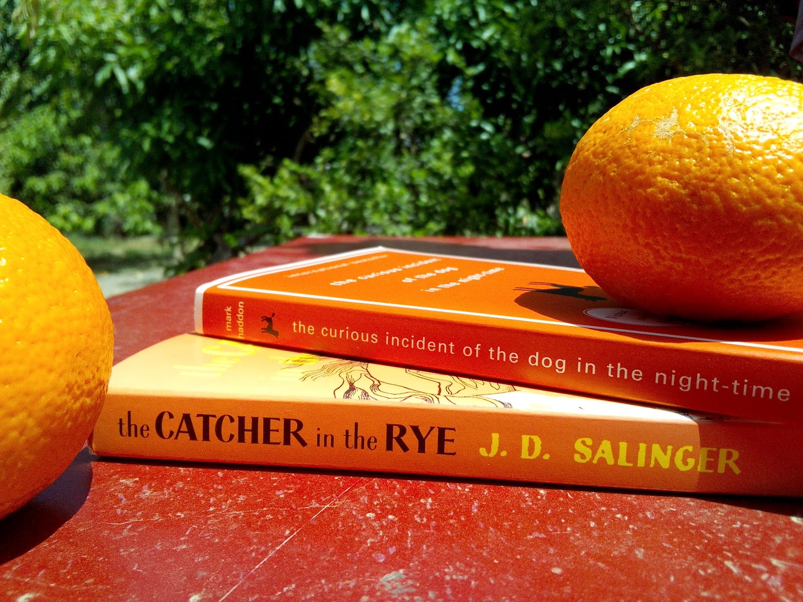 Читать книгу апельсинки для бывшего полностью
