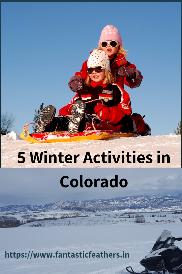 Fantastic Feathers 5 Winter activities to enjoy in Colorado