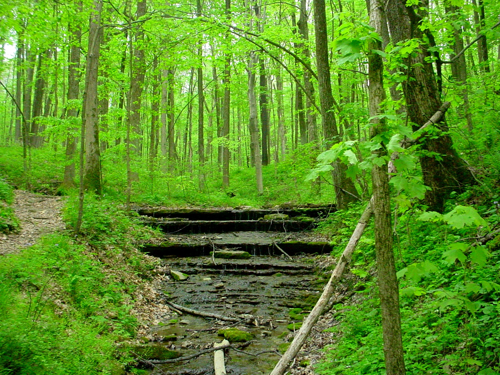 A Visit to Versailles State Park