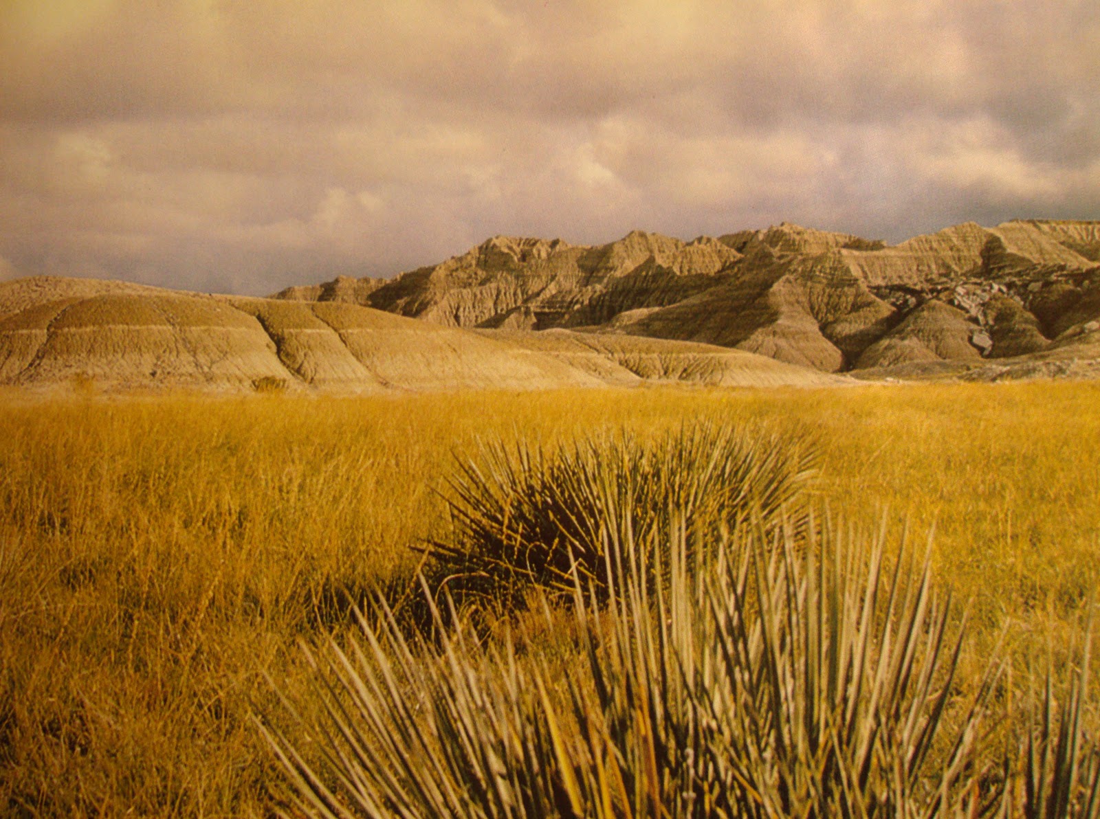 Tras la senda de los ancestros: Los primeros pobladores de las llanuras