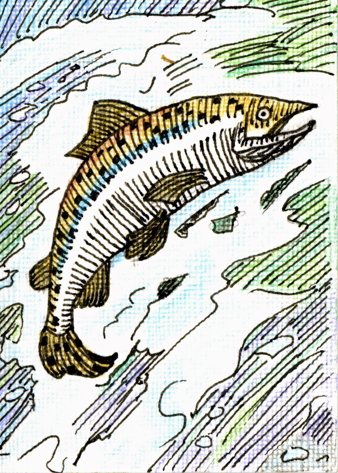 Lewis and Clark Exploratory Center Day Three Salmon!