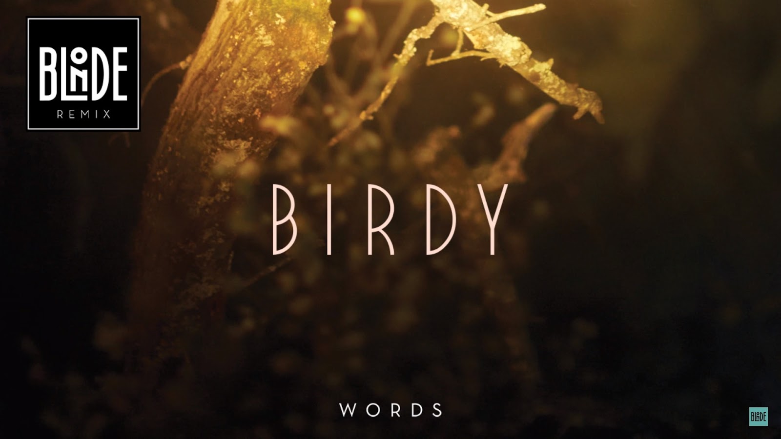 Blonde remix. Birdy певица. Birdy Wings Words. Wings Birdy OST. Birdy Wings Words download.