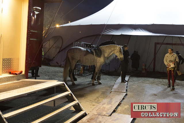 attente des chevaux a l'arrière de la tente du cirque