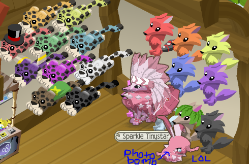 Animal Jam's Plushie Collection: Introduction