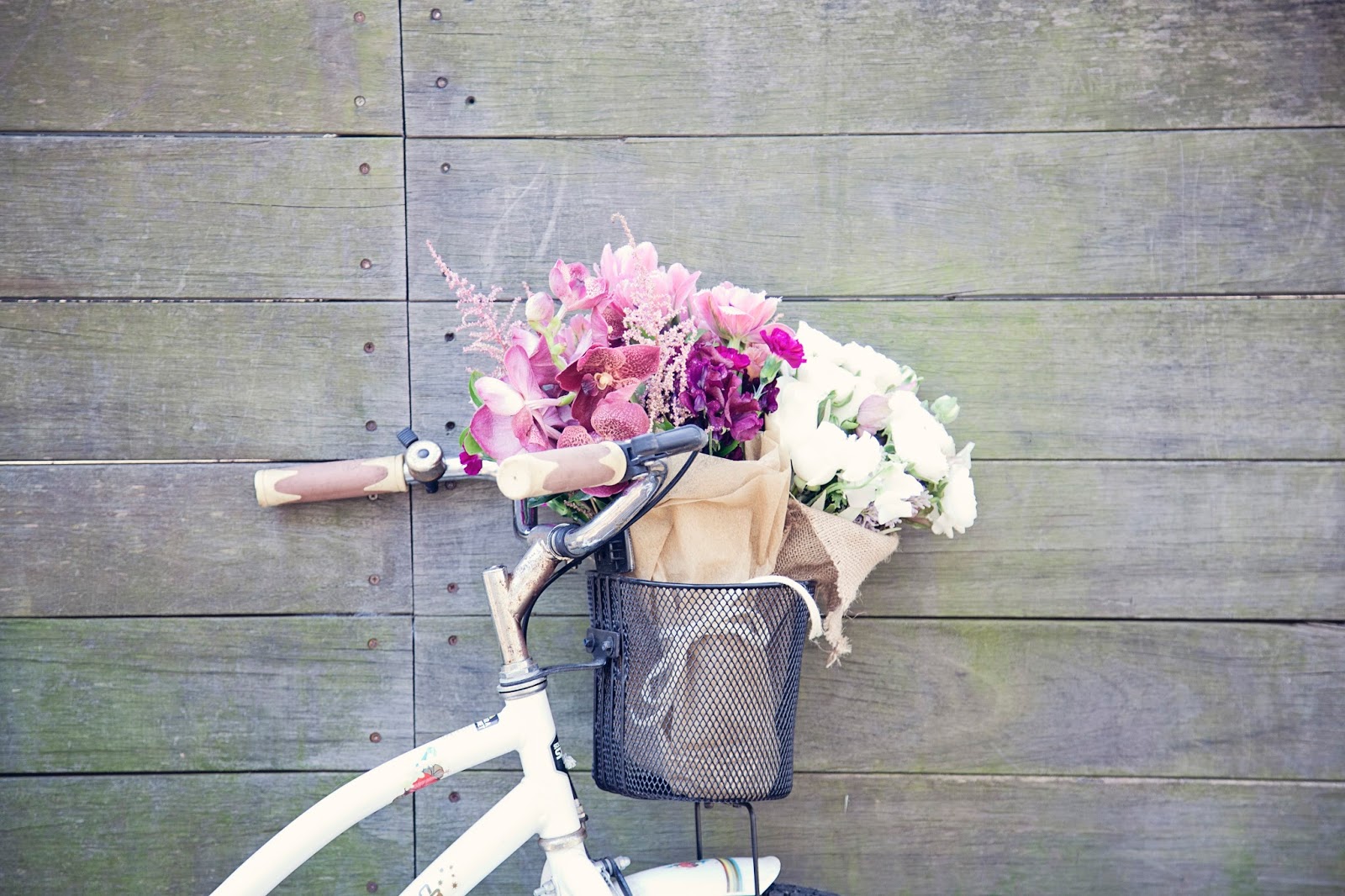 Urban Flower Our Flowers in Rouse Hill Regional Park Urban Flower Our Flowers in Rouse Hill Regional Park